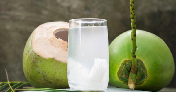 Điều bạn cần phải biết khi uống nước dừa