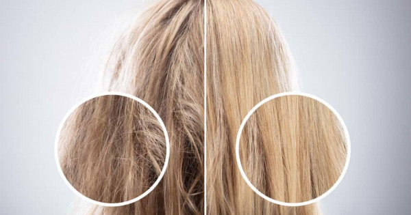 Lý do tại sao tóc càng dưỡng càng khô