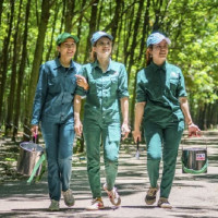 Tập đoàn Công nghiệp Cao su Việt Nam hoàn thành vượt mức kế hoạch năm 2020