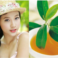 Mách bạn cách tự làm kem chống nắng với trà xanh tiết kiệm