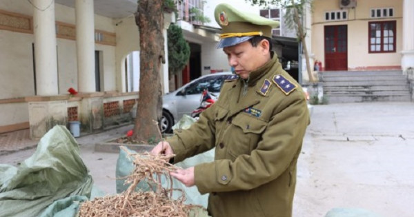 Thu giữ nguyên liệu thuốc Bắc nhập lậu và thuốc bảo vệ thực vật không chứng từ