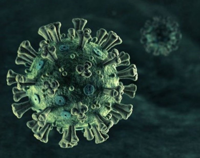 Thêm 2 biến chủng mới của virus SARS-CoV-2 được phát hiện