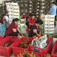 Cơ hội cho nông sản Việt Nam tiếp cận thị trường 2,2 tỷ dân