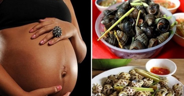 Phụ nữ mang thai có nên ăn ốc không?