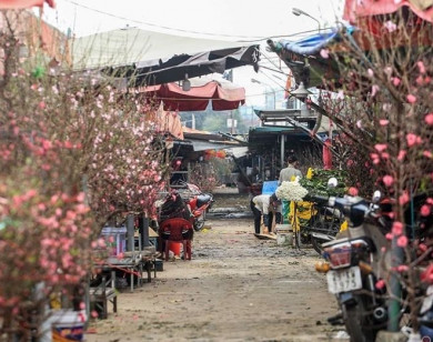 Chợ Tết ở Hà Nội vắng khách "chưa từng có" vì dịch Covid-19