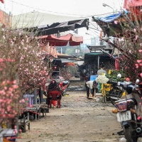 Chợ Tết ở Hà Nội vắng khách "chưa từng có" vì dịch Covid-19