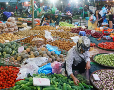 Giá nông sản tại tỉnh An Giang - Ngày 5-2-2021