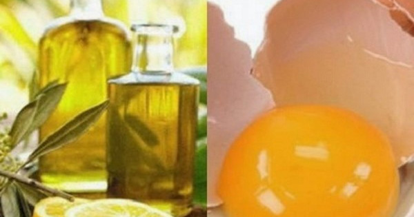 Tại sao sử dụng dầu oliu lại tốt cho tóc?