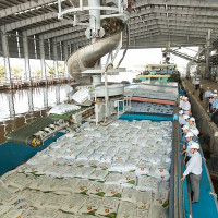 Đẩy mạnh sản xuất phân bón nội địa, đảm bảo nguồn cung cho vụ Hè - Thu 2021