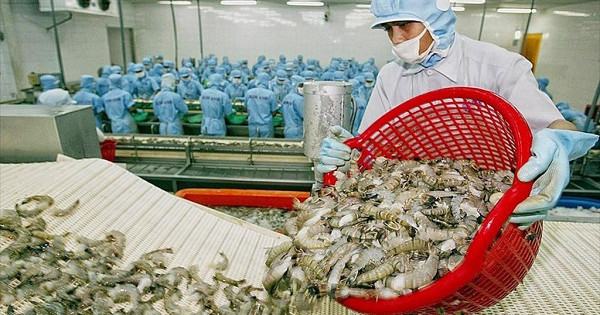 Năm 2021 những tín hiệu mới cho ngành tôm Việt Nam