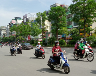 Dự báo thời tiết ngày 12/3/2021: Hà Nội sáng có sương mù nhẹ, trưa chiều hửng nắng