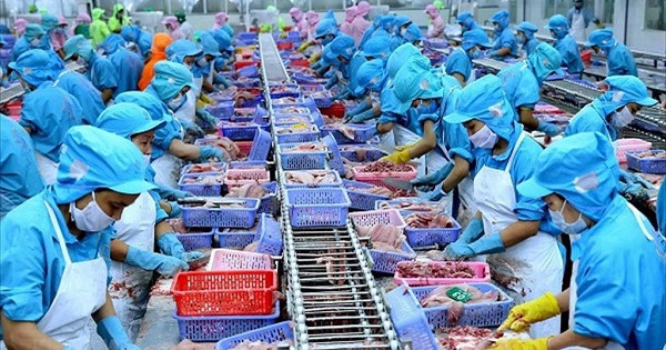 Nhiều thị trường tăng nhập khẩu thủy sản Việt Nam