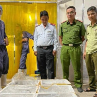 Kiên Giang: Bắt giữ 1 tạ tôm có chứa tạp chất