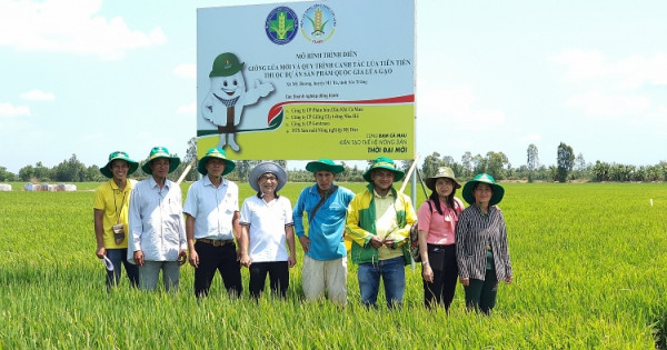 Phân bón Cà Mau hành trình 10 năm đầy tự hào