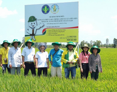 Phân bón Cà Mau hành trình 10 năm đầy tự hào