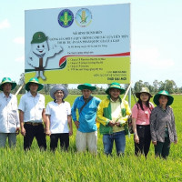 Phân bón Cà Mau hành trình 10 năm đầy tự hào