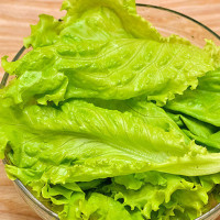 Tại sao ăn rau xà lách có thể giúp bạn giảm cân?