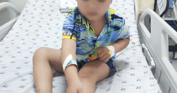 Bé trai bị rắn lục cắn trong lúc đi thả diều