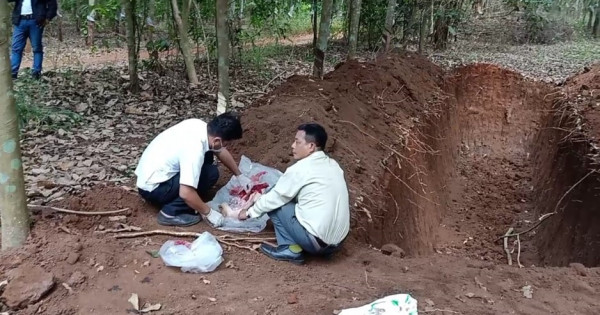 Phát hiện hố chôn lậu 138 con heo chết hôi thối ở Đồng Nai
