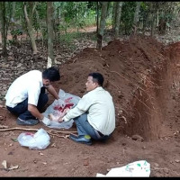 Phát hiện hố chôn lậu 138 con heo chết hôi thối ở Đồng Nai