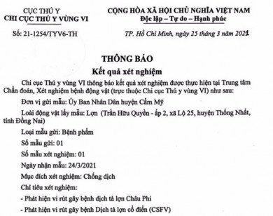 Công bố kết quả xét nghiệm mẫu bệnh phẩm 138 con lợn chôn lậu ở Đồng Nai