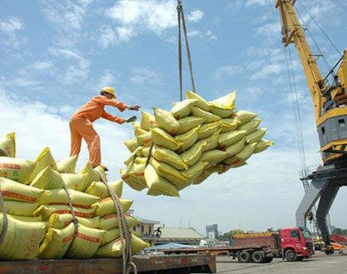 Xuất khẩu gạo: Giảm lượng, tăng giá trị