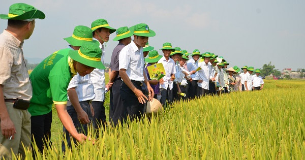 Tuổi 18 PVFCCo: Mùa hoa đẹp nhất!