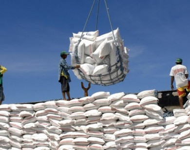 Việt Nam trúng thầu 11.236 tấn gạo lứt xuất khẩu sang Hàn Quốc