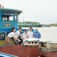 Phân bón NPK Cà Mau thêm lựa chọn, tăng lợi ích cho nhà nông