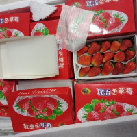 Phát hiện dâu tây Trung Quốc "bay" vào Đà Lạt