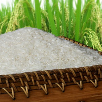 Đặt tên cho thương hiệu gạo quốc gia