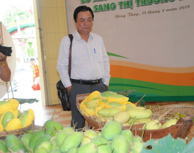 Bộ trưởng Bộ NN&PTNT: Hạn chế tình trạng “được mùa rớt giá” hay “giải cứu” nông sản