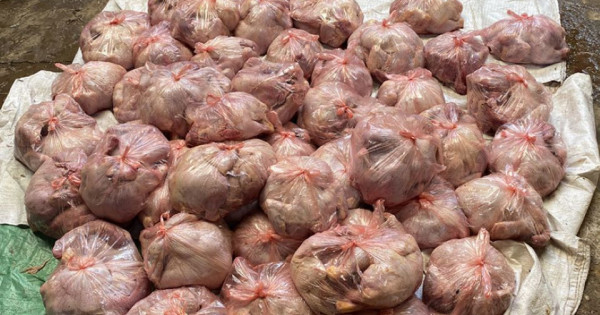 Thái Nguyên: Phát hiện hơn 3 tấn thịt gà hôi thối chuẩn bị bán ra thị trường