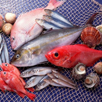 3 loại cá nên hạn chế ăn để tốt cho sức khỏe