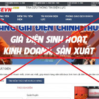Xuất hiện trang web giả mạo thương hiệu EVN