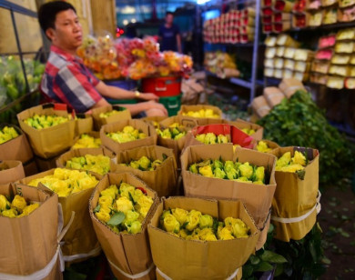 TP Hồ Chí Minh: Đồng ý mở cửa chợ hoa Đầm Sen trong 3 ngày để "cứu" hoa Đà Lạt