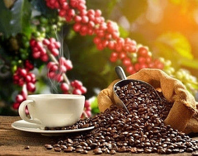 Giá nông sản hôm nay 14/6/2021: Cà phê cao nhất 34.500 đồng/kg, tiêu tăng nhẹ