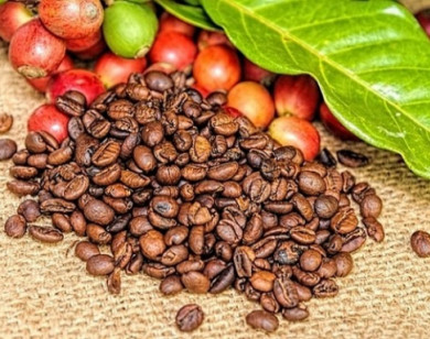 Giá nông sản hôm nay 16/6/2021: Cà phê và tiêu đồng loạt tăng