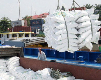 Kiểm tra thi hành pháp luật về xuất nhập khẩu gạo