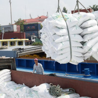 Kiểm tra thi hành pháp luật về xuất nhập khẩu gạo