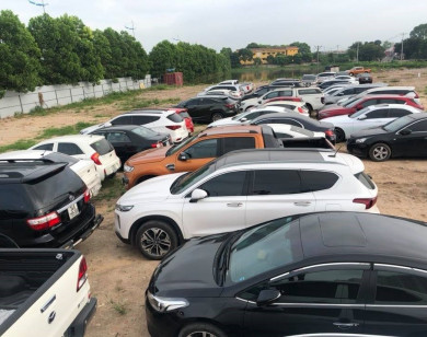 Công an Hà Nội triệt phá đường dây trộm cắp ô tô liên tỉnh, thu giữ gần 100 chiếc xe "gian"