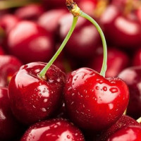 5 sai lầm khi ăn quả cherry có thể khiến bạn ngộ độc, thậm chí tử vong