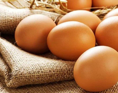 Thời gian bảo quản trứng bao lâu là hợp lý?