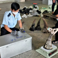 Đà Nẵng bắt giữ 3,2 tấn hàng nghi sừng tê giác, xương động vật hoang dã từ Nam Phi