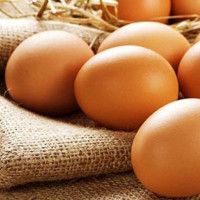 Thời gian bảo quản trứng bao lâu là hợp lý?