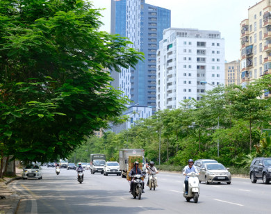 Dự báo thời tiết ngày 20/7/2021: Hà Nội đêm có mưa dông, ngày nắng