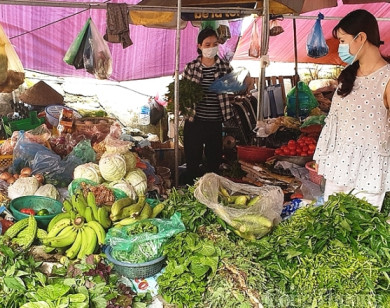 Hà Nội: Bảo đảm nguồn cung rau an toàn trong mọi tình huống dịch