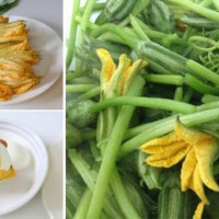 Hoa bí - Thực phẩm vàng cho sức khỏe