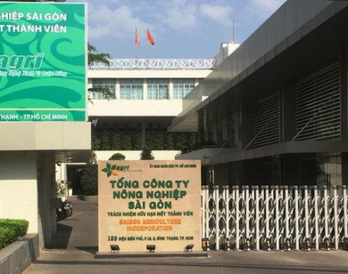 TP Hồ Chí Minh: Kiến nghị xử lý kỷ luật nhiều cán bộ sai phạm tại SAGRI