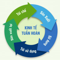 Vinamilk: Chú trọng chất lượng “Môi trường, Xã hội, Quản trị” để phát triển bền vững